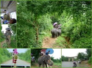 1149140_10151534513921428_1429364800_o