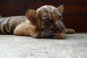 ???????????????????????????????????????????????